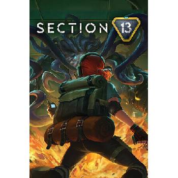 Section 13