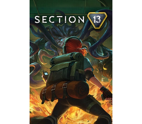 Section 13