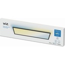 WiZ WI0067