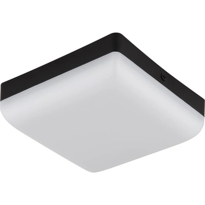 Globo 12388-8
