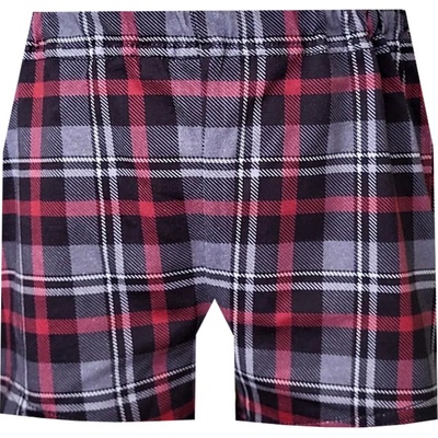 Foltýn dětské trenýrky DT97