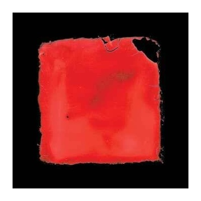 2 Salvia Palth - Last Chance To See Ltd. LP