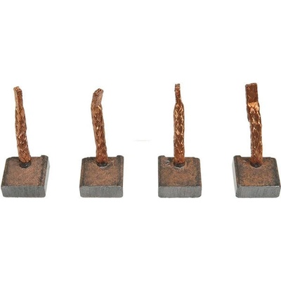 Sada uhlíků startéru - Bosch 1004320231