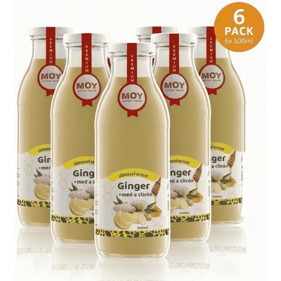 Zamio Ginger 100% šťava 6 x 500 ml