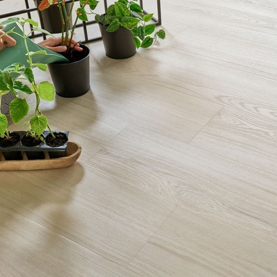 Arbiton Woodric Eir Click CWS 204 Dub Eldborg 2,235 m²
