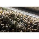 Image 1 of Rábalux Ansoo 77016