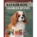 Kavalír King Charles Španěl