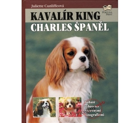 Kavalír King Charles Španěl