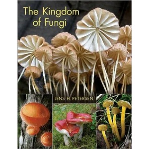Kingdom of Fungi | Jens H Petersen (2013)