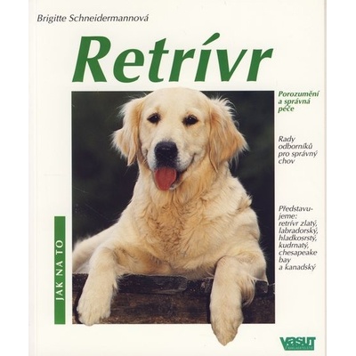 Retrívr - Bri Schneidermannová