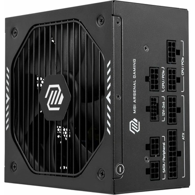 MSI MAG A650GLS PCIE5 650W 306-7ZPHY11-HD8