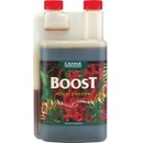 Canna Boost 250 ml