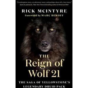 Reign of Wolf 21 | Marc Bekoff (ISBN: 9781771649964)