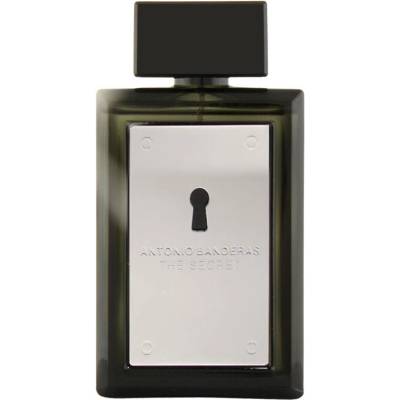 Antonio Banderas The Secret toaletná voda pánska 100 ml tester