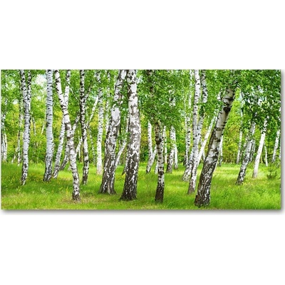 Fotoobraz na skle Břízová les 100x50 cm
