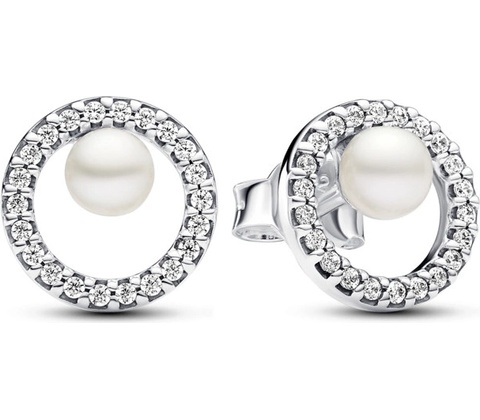 Pandora 293154C01