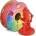 Polymaker Panchroma PLA Red - 1, 75 mm / 1000 g (CA19004)