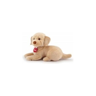 Trudi trudi labrador liam s