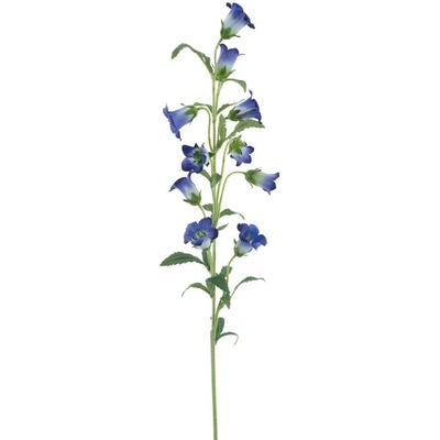 Zvonek fialový 88 cm