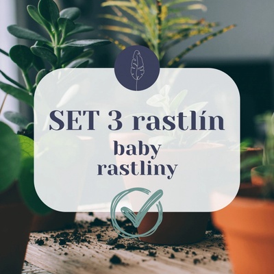 SET 3 baby rastlín