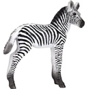 Animal Planet Zebra mláďa