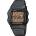 Casio W-800H-9A