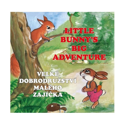 Šnajderová Ludmila - Velké dobrodružství malého zajíčka