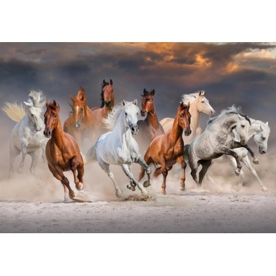 BlueBird The Horse Race 1000 dielov