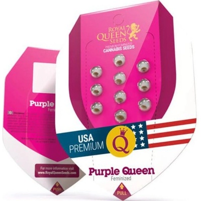Royal Queen Seeds Purple Queen semienka neobsahujú THC 10 ks
