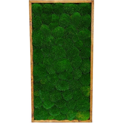 Machový obraz - Kopčekový mach apple Druh rámu: 70x70cm