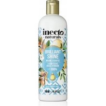 Inecto Naturals Argan s čistým Arganovým olejom šampón na vlasy 500 ml