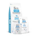 Brit Grain-free Junior Large Breed Salmon & Potato - със сьомга, за едри породи от 3 до 24 месеца, 1 кг