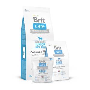 Brit Grain-free Junior Large Breed Salmon & Potato - със сьомга, за едри породи от 3 до 24 месеца, 1 кг