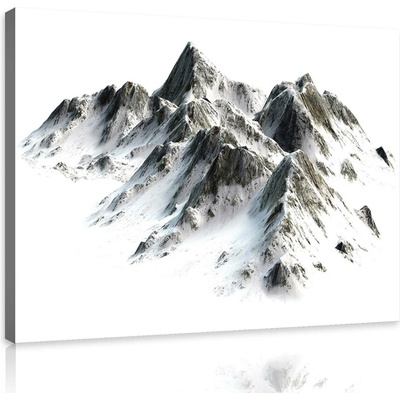 Postershop Obraz na plátně: Zasněžené hory - 80x60 cm