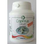Sana-Care Coprinus comatus - 90 капсули