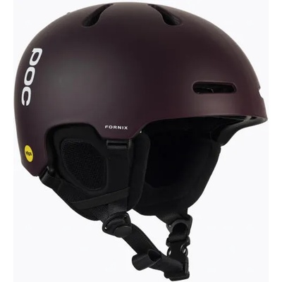 POC Fornix MIPS