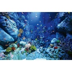DIMEX ART Флизелинов фототапет морски свят 375 x 250 см