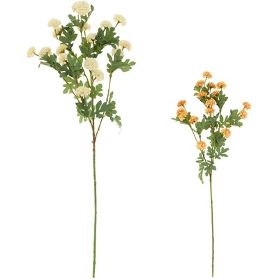 KS CHRYZANTÉMA TRSOVÁ MIX/2F 81CM