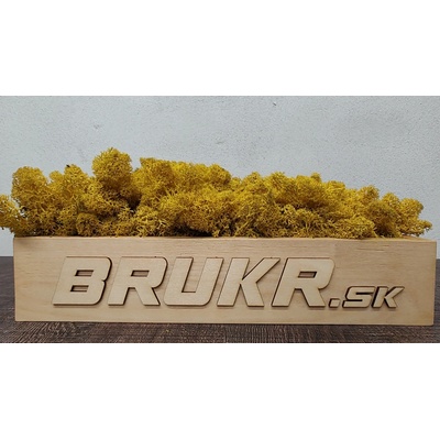Stabilizovaný mach - Nórsky lišajník - žltá ( Yellow ) 4kg