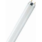INVITAL uv флуоресцентна лампа 55w t8, g13 (за tmc) (z09751)