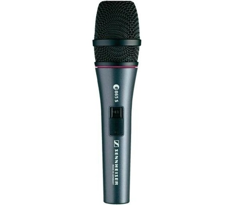 Sennheiser E865