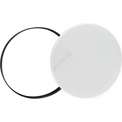 Wojnarowscy Nymphea WJ0418