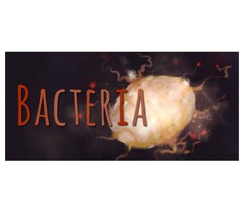 Bacteria
