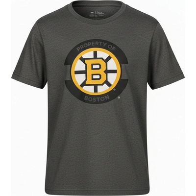 Outerstuff Boston Bruins NHL Apro Secondary Ss Tee