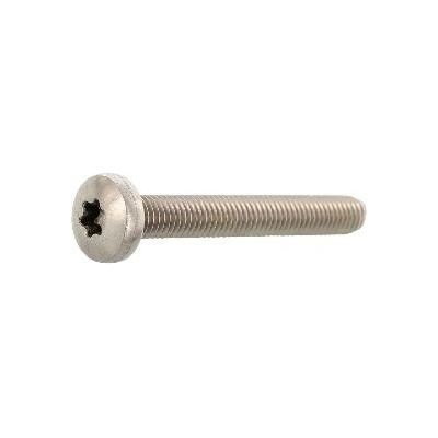 DIN7985A M 6x 10 Torx 30 šroub s čočkovitou hlavou z nerezové oceli A2 (500 ks)