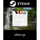 VRNinja