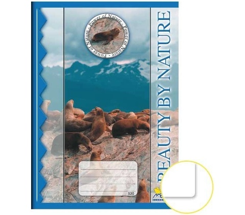 NOTES Zošit 520