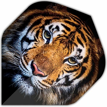 Designa Motley Collection - Tiger F4369