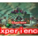 Experience