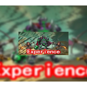 Experience